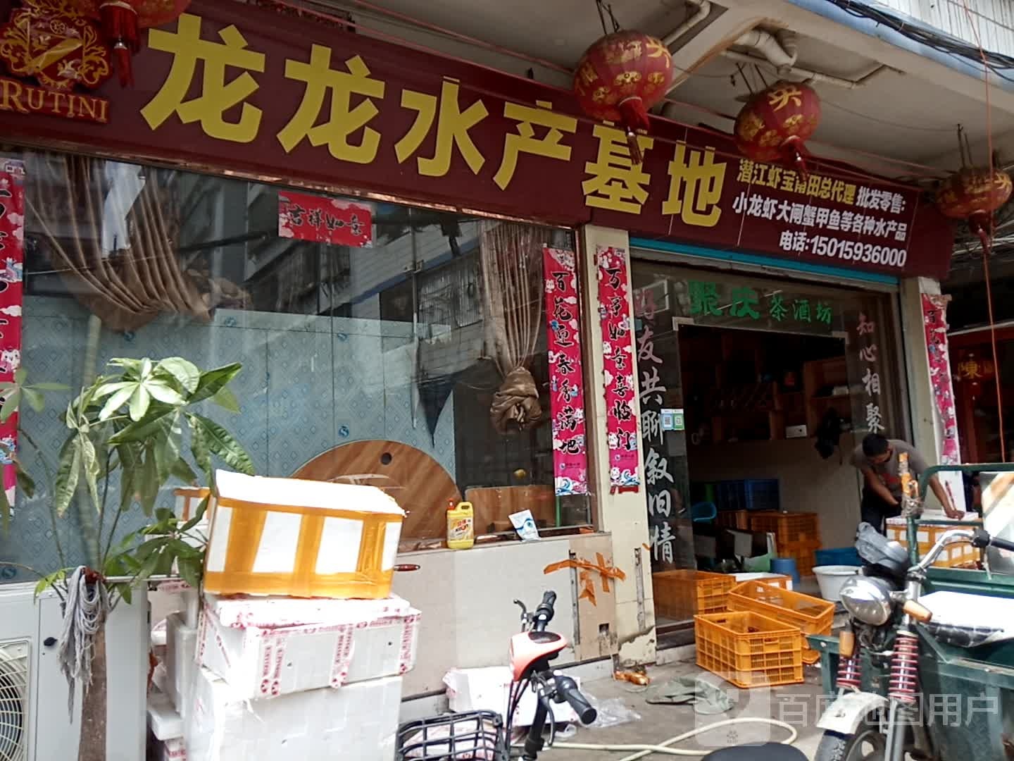 龙龙睡产