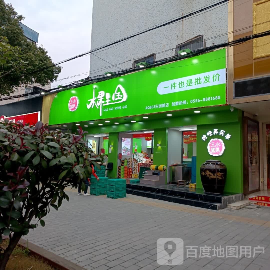 水果王国(东洲路店)