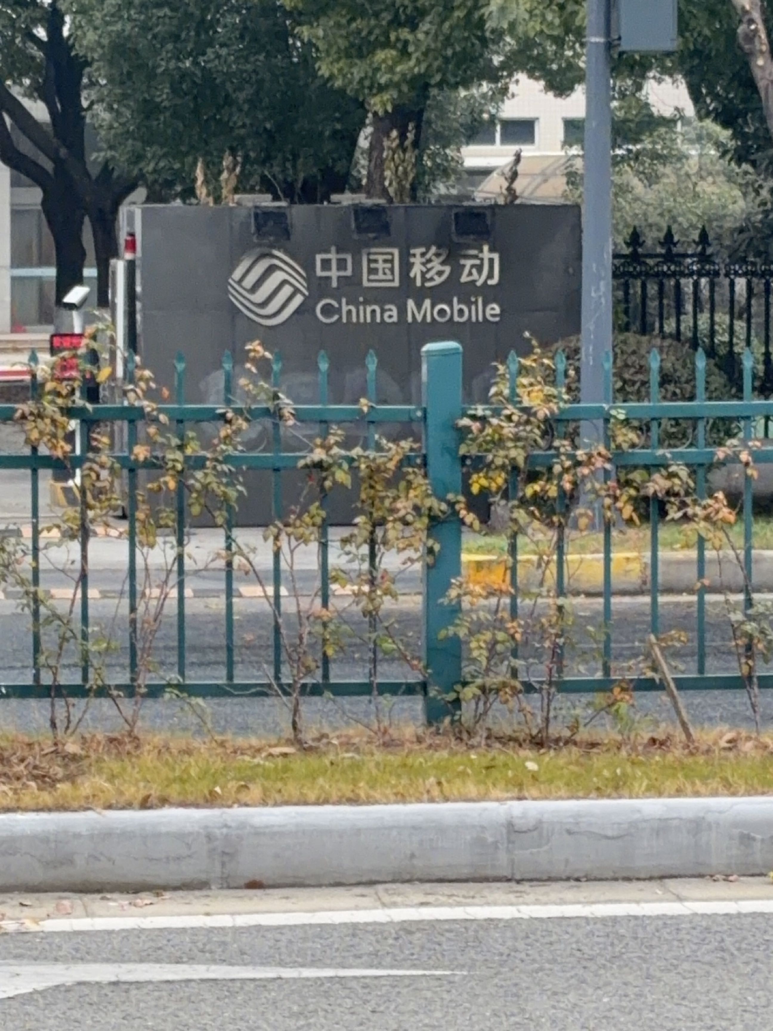 中国移动通信(泰山路店)