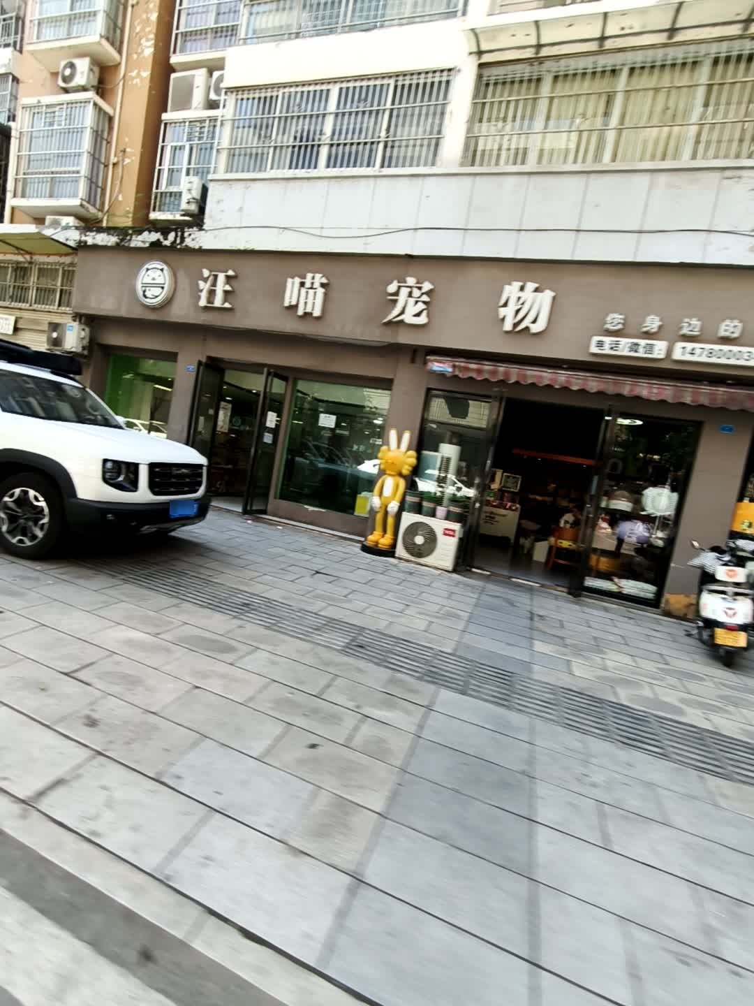 汪喵宠物(安宁巷店)