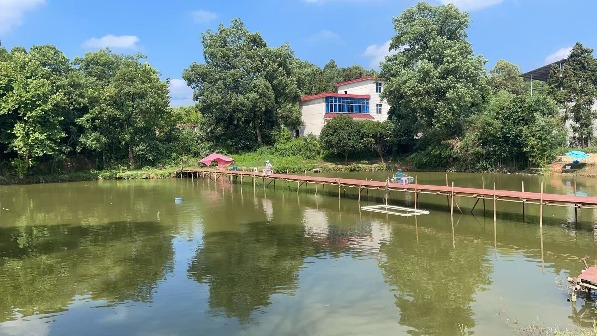 福田嘎嘎乃青草钓场