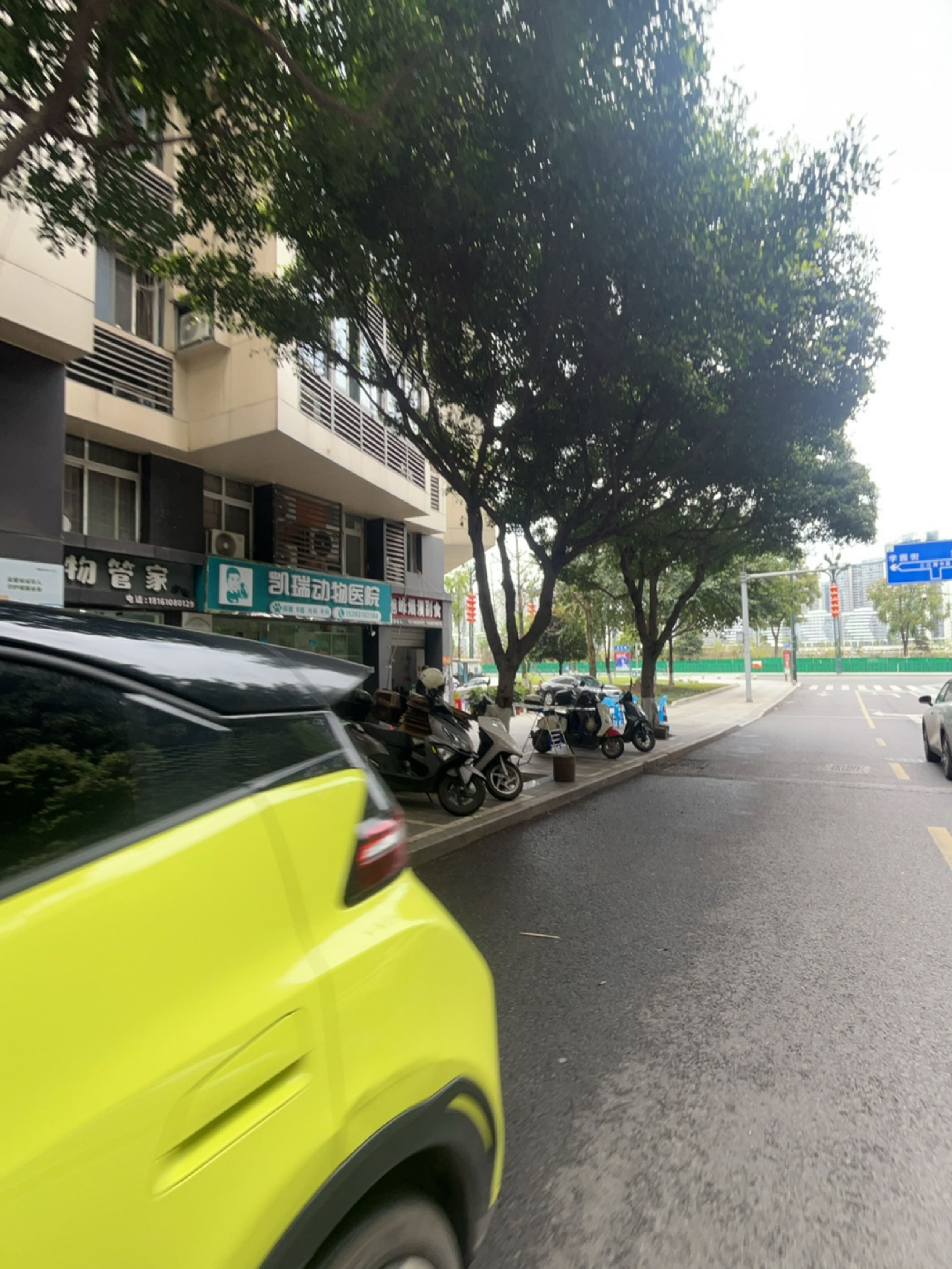 Ai+宠物管家(春江花园店)