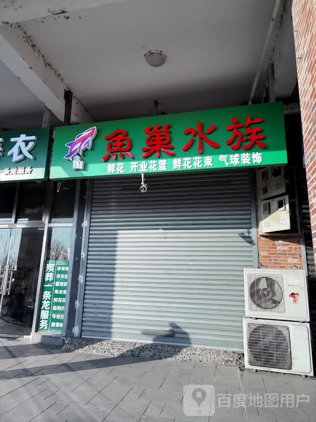 鱼巢水族鲜花