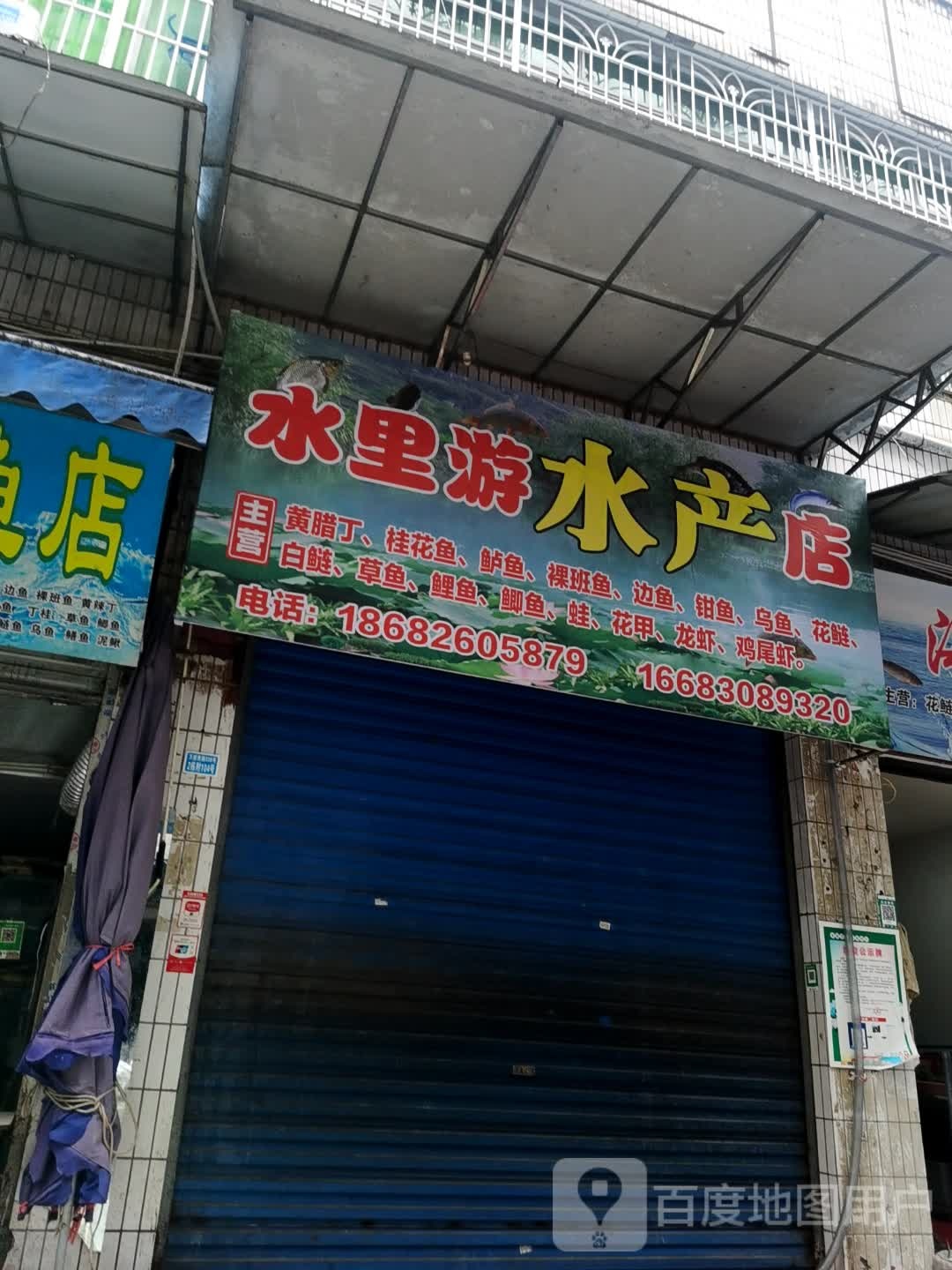 水里游水产店