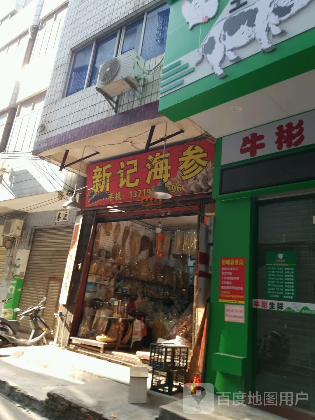 新记海参