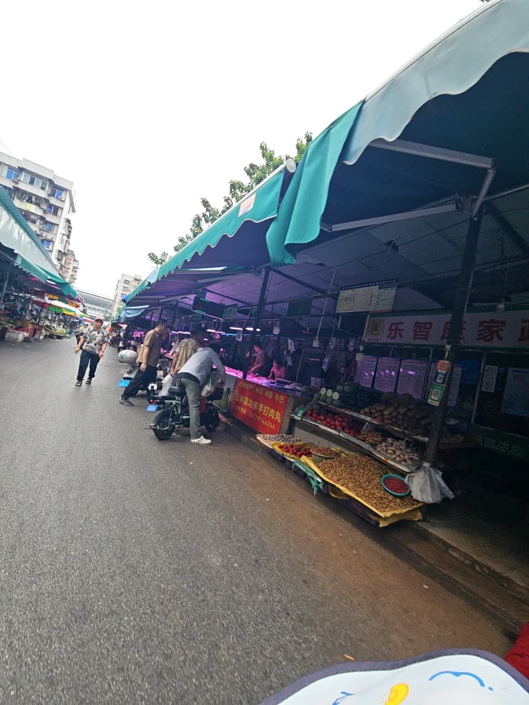 乐智康家政(北湖路东二里店)