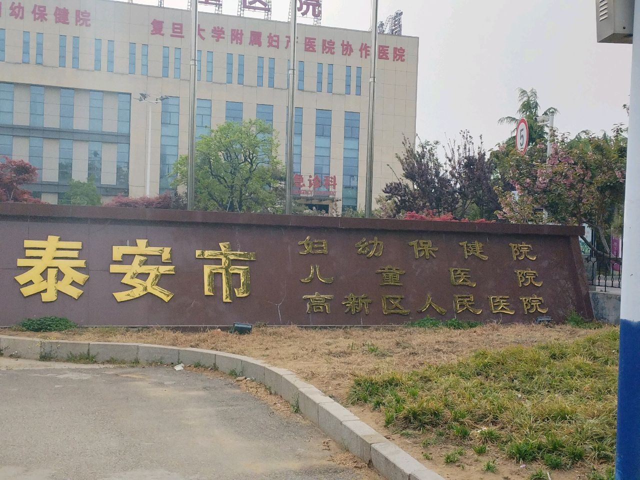 泰安市妇幼保健院-体检