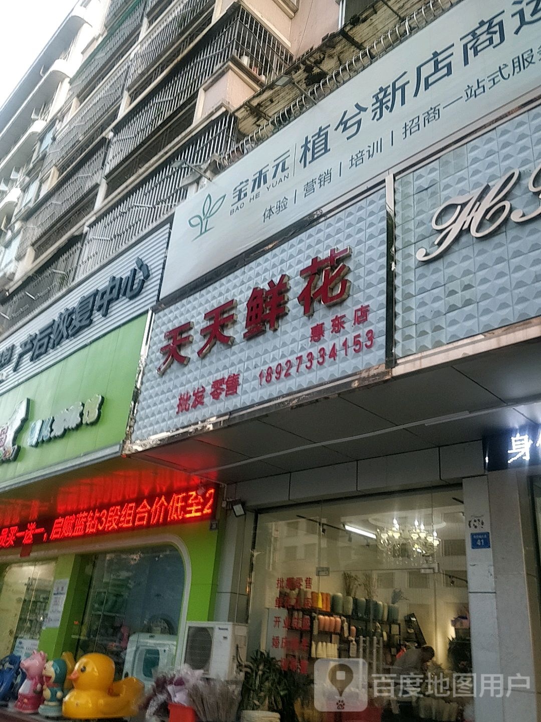 天天鲜花(惠东店)