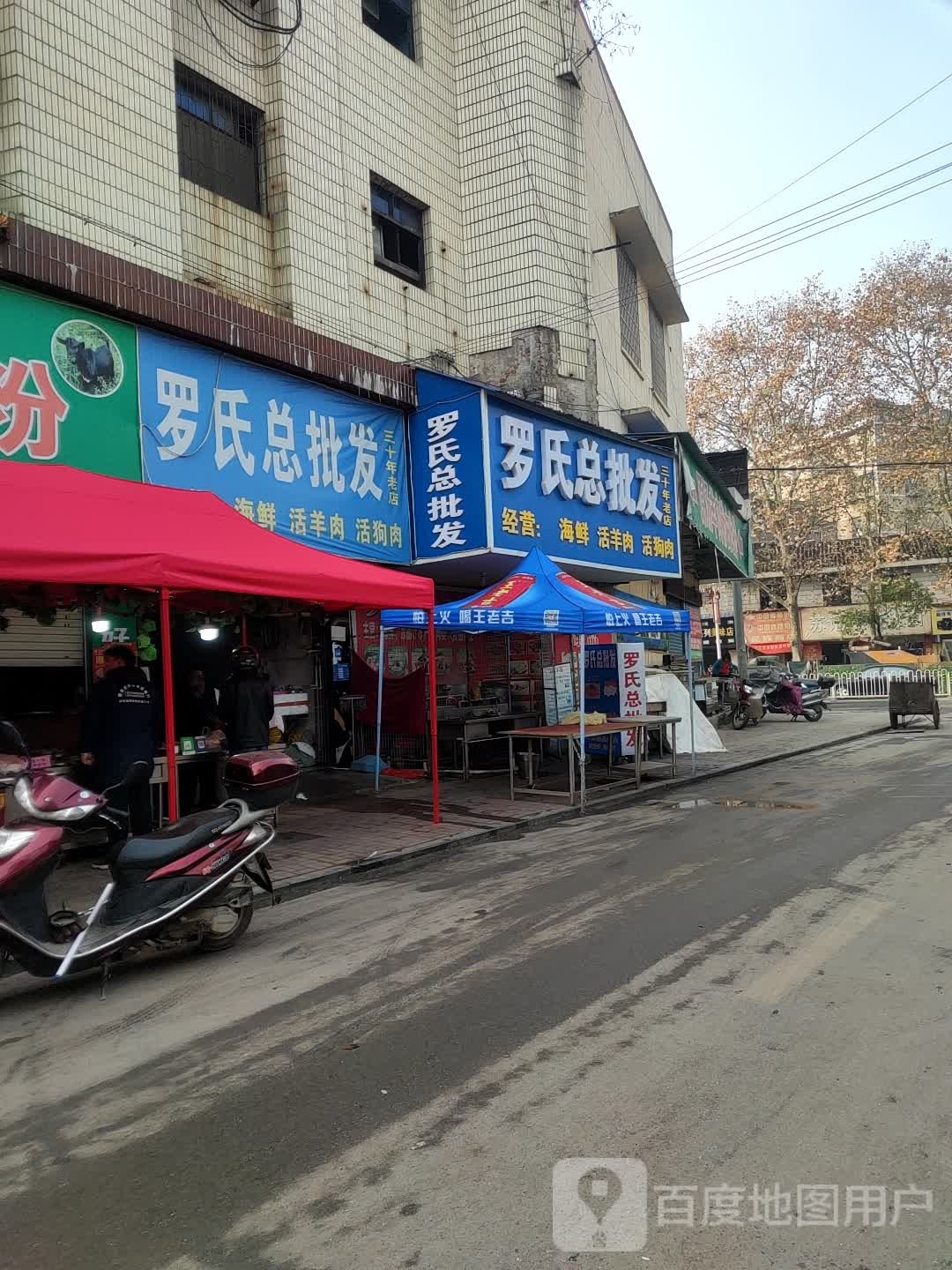 罗氏总批发