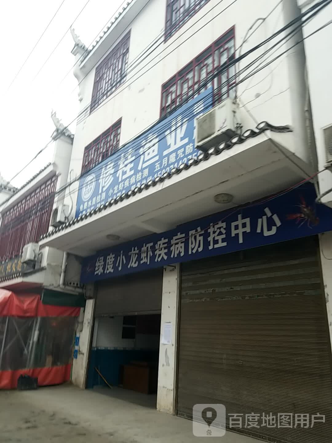 修桂鱼业