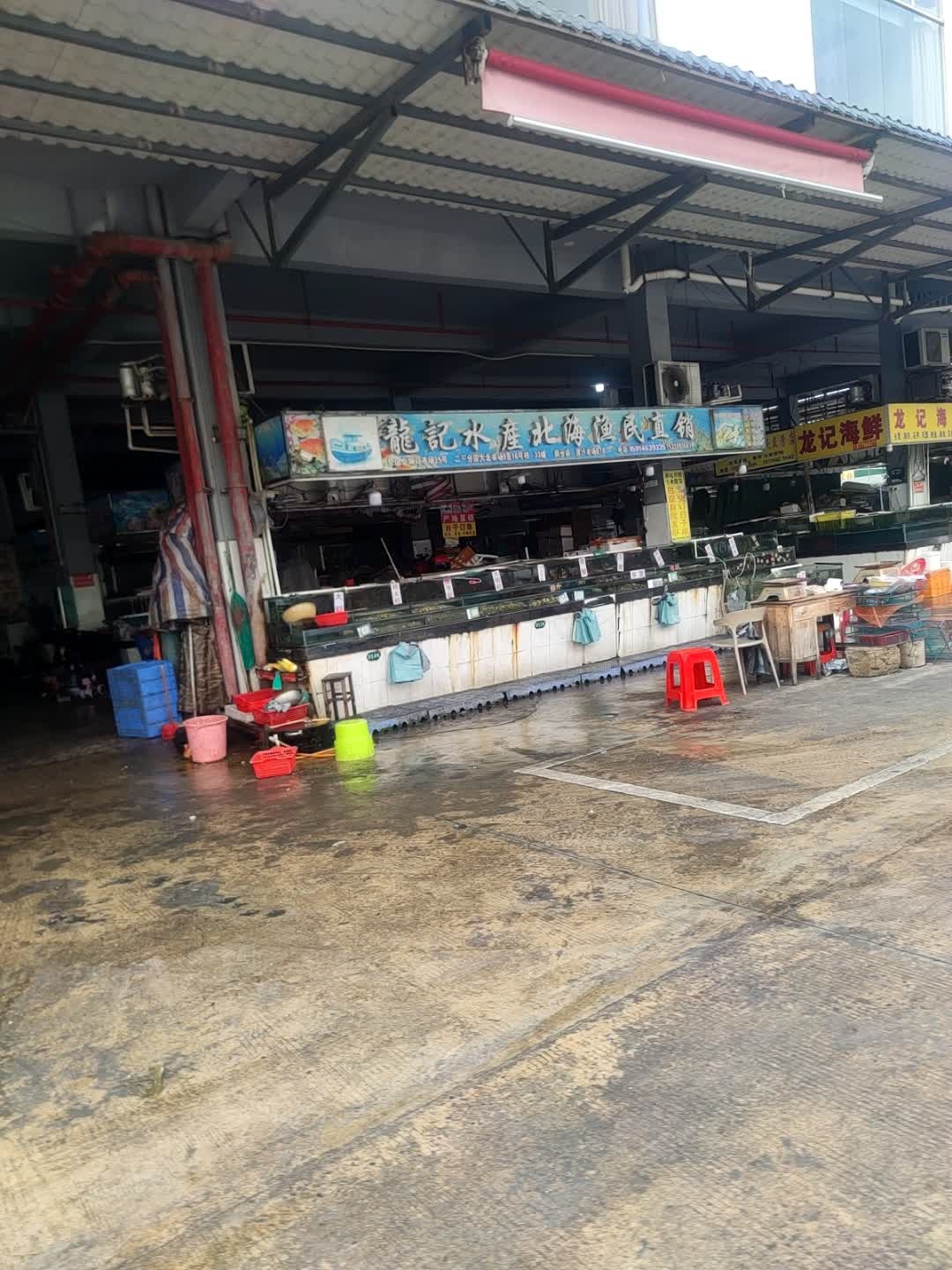 龙记水产北海渔民直销