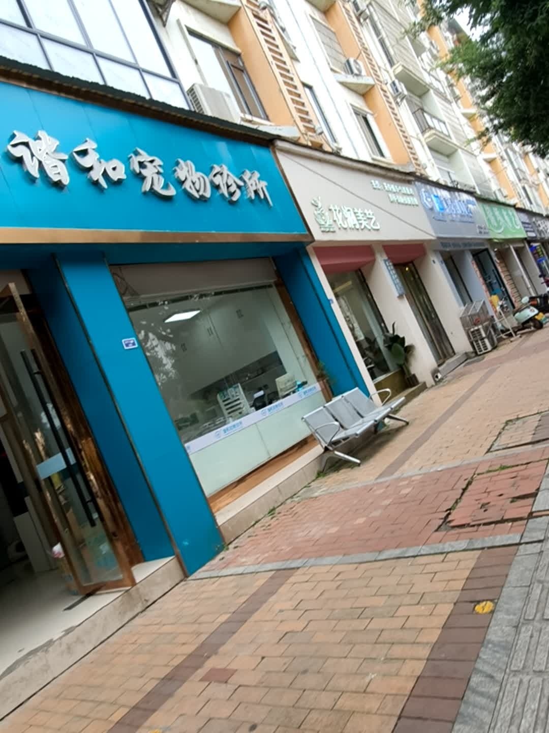 大英县谐和宠物诊所(大英店)