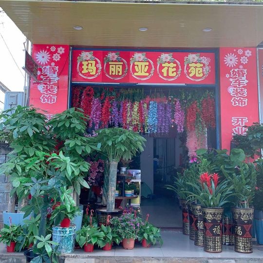 玛丽亚花苑(行政路店)