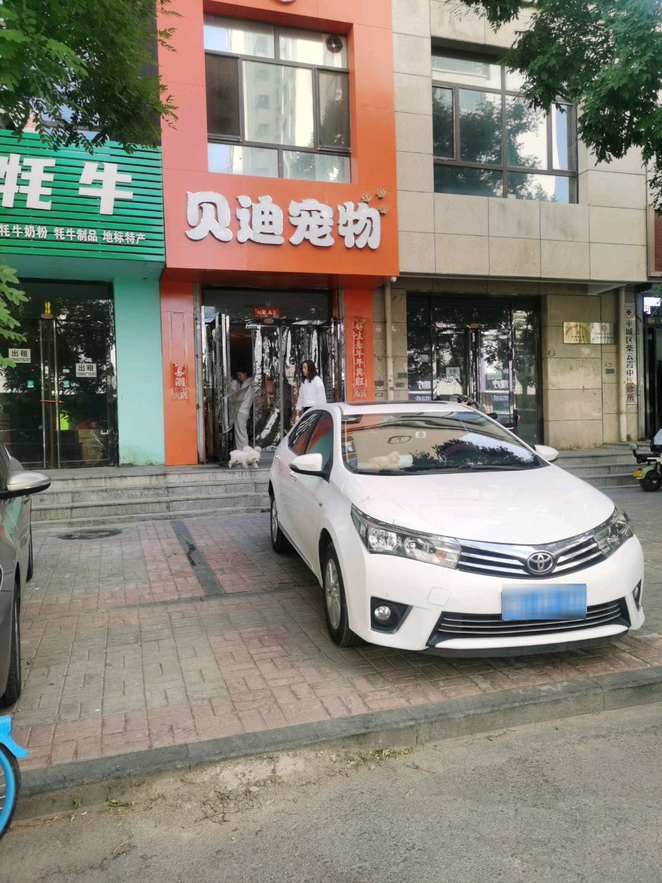 贝迪宠物(中央美域店)