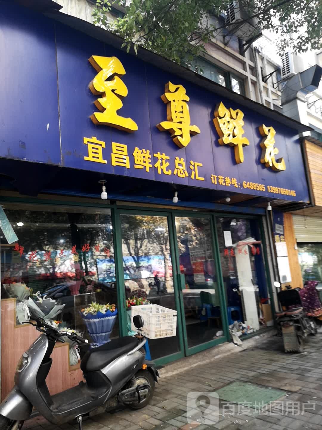 至尊鲜花(万达店)