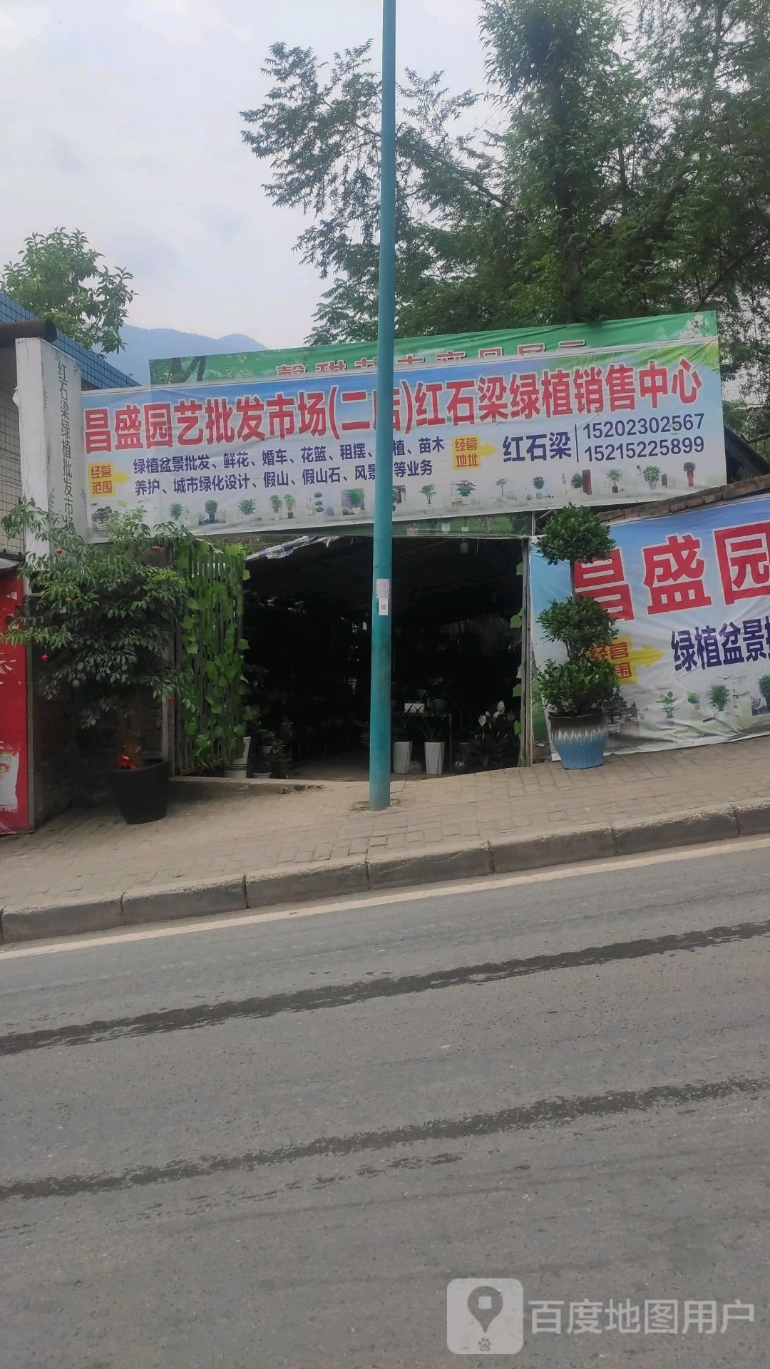 红石梁绿植花卉批发