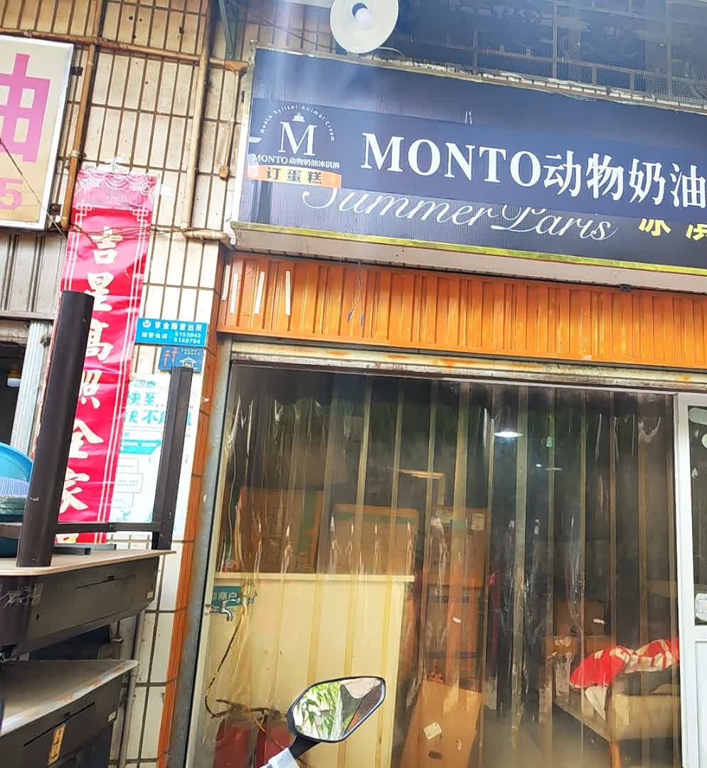 MONTO动物奶油冰淇淋蛋糕订制