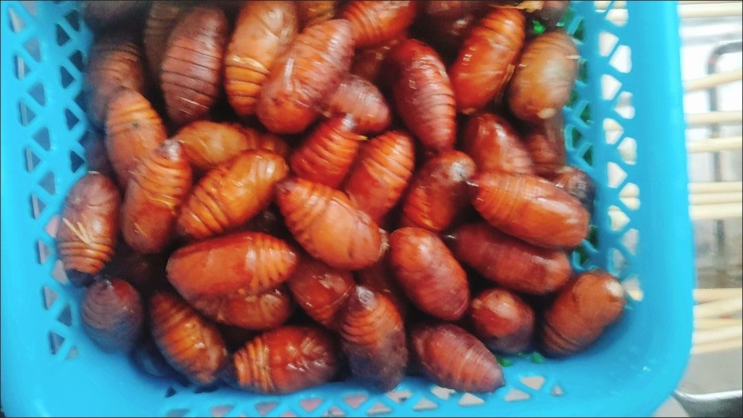 哥俩烧烤(胜利路店)