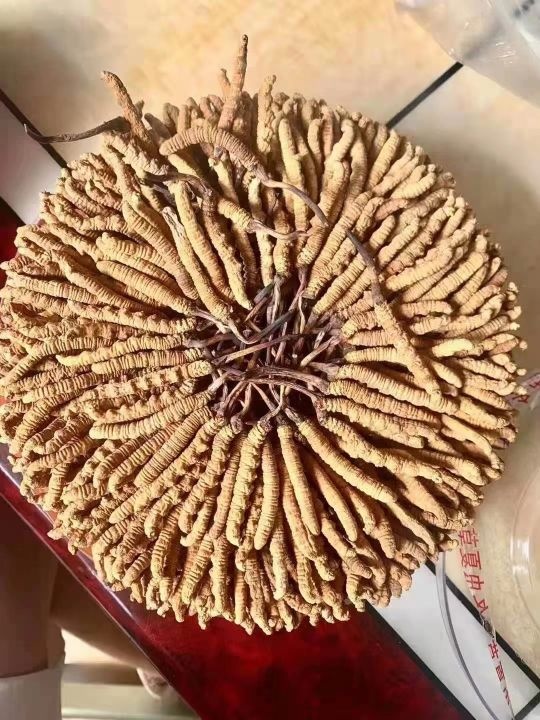 黄金奢品回收行名酒名包