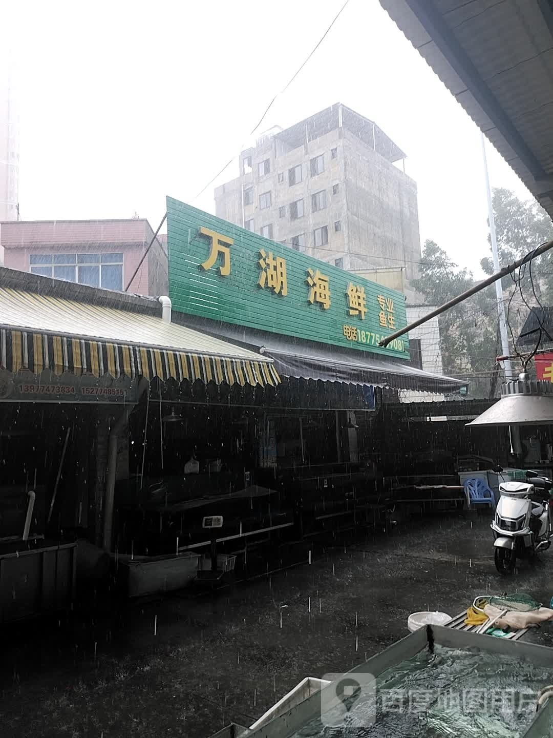 万湖海鲜