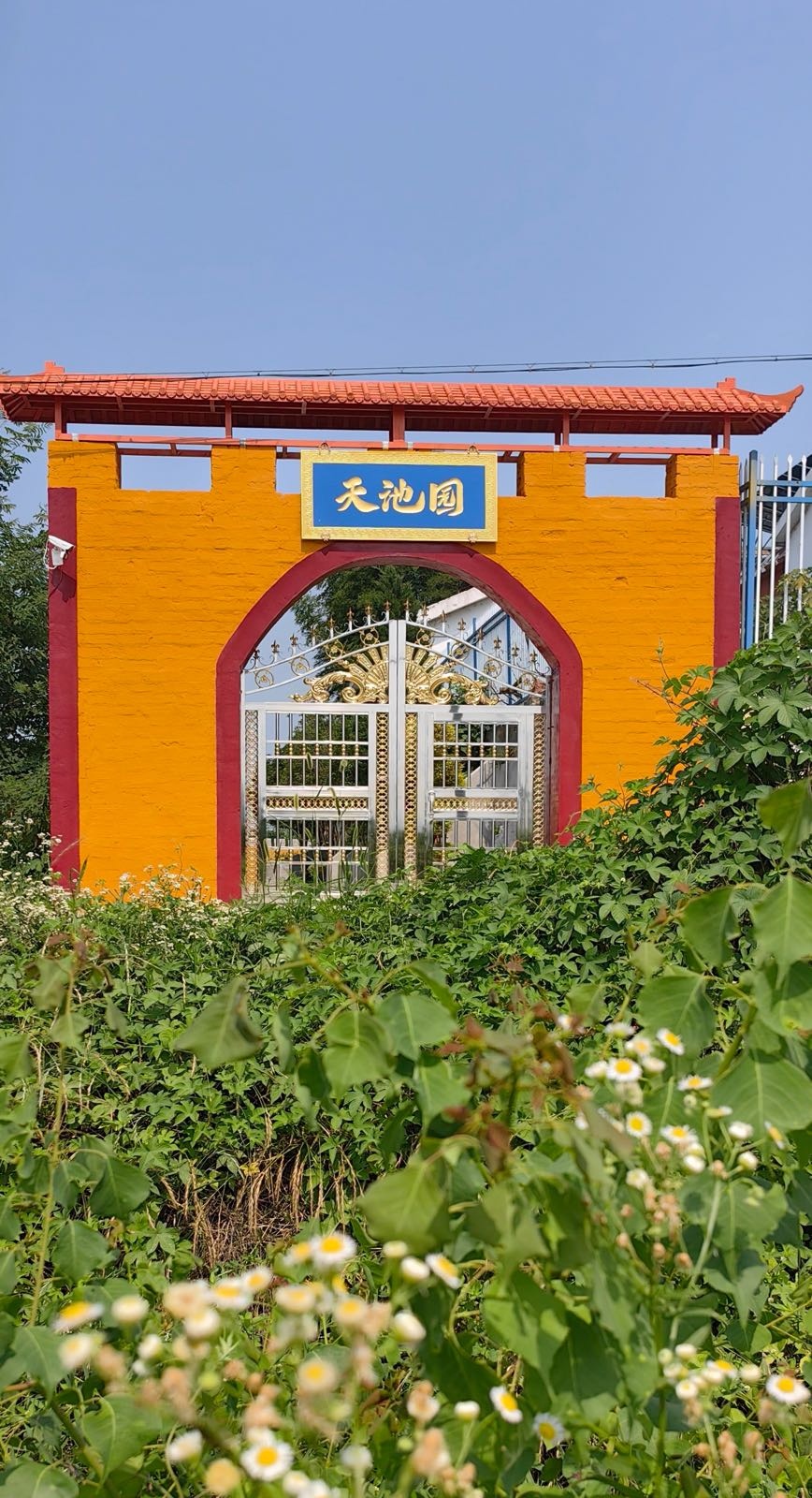 六安市金安区横塘岗乡古城寺天池园
