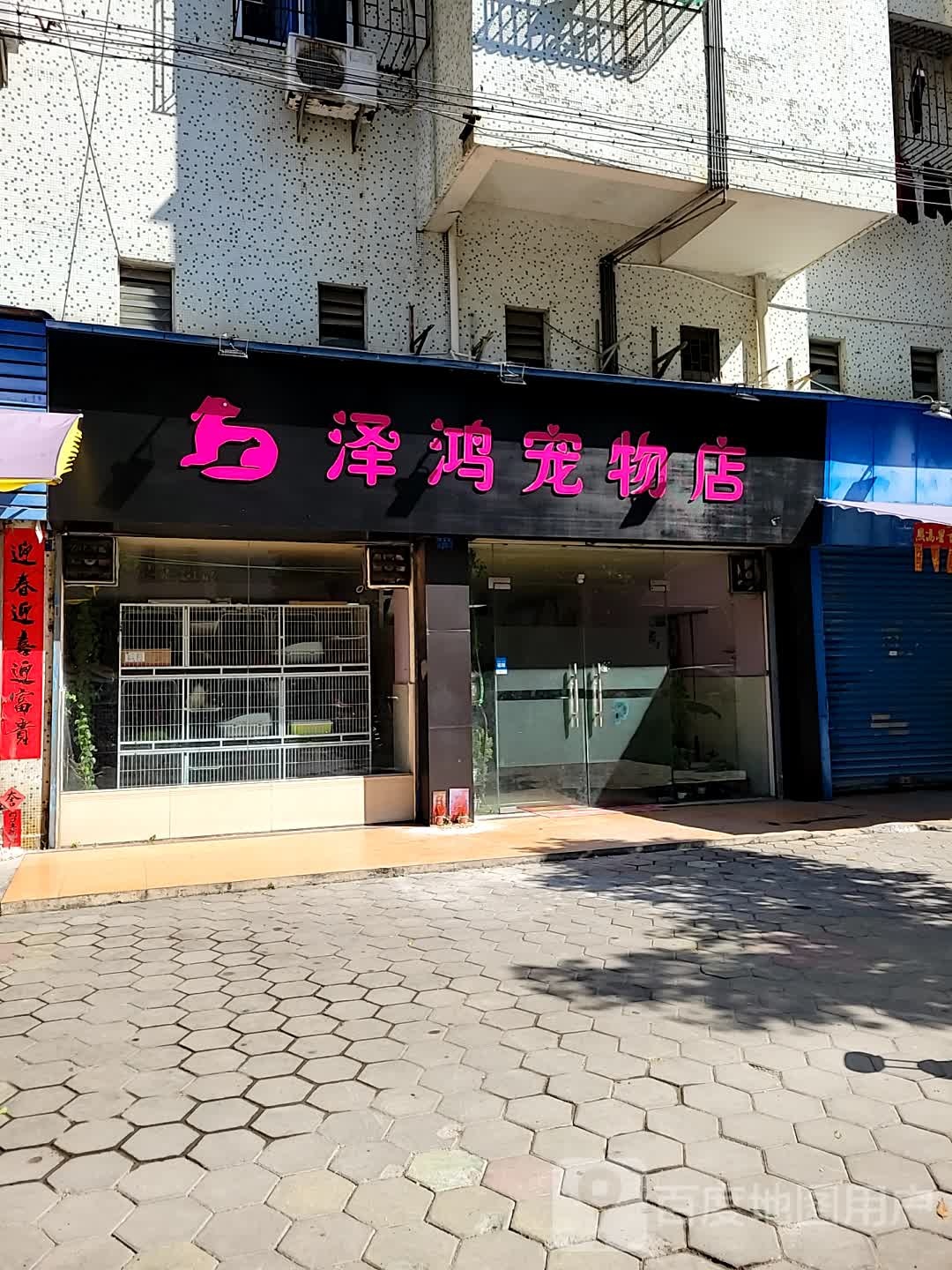 泽鸿宠物店