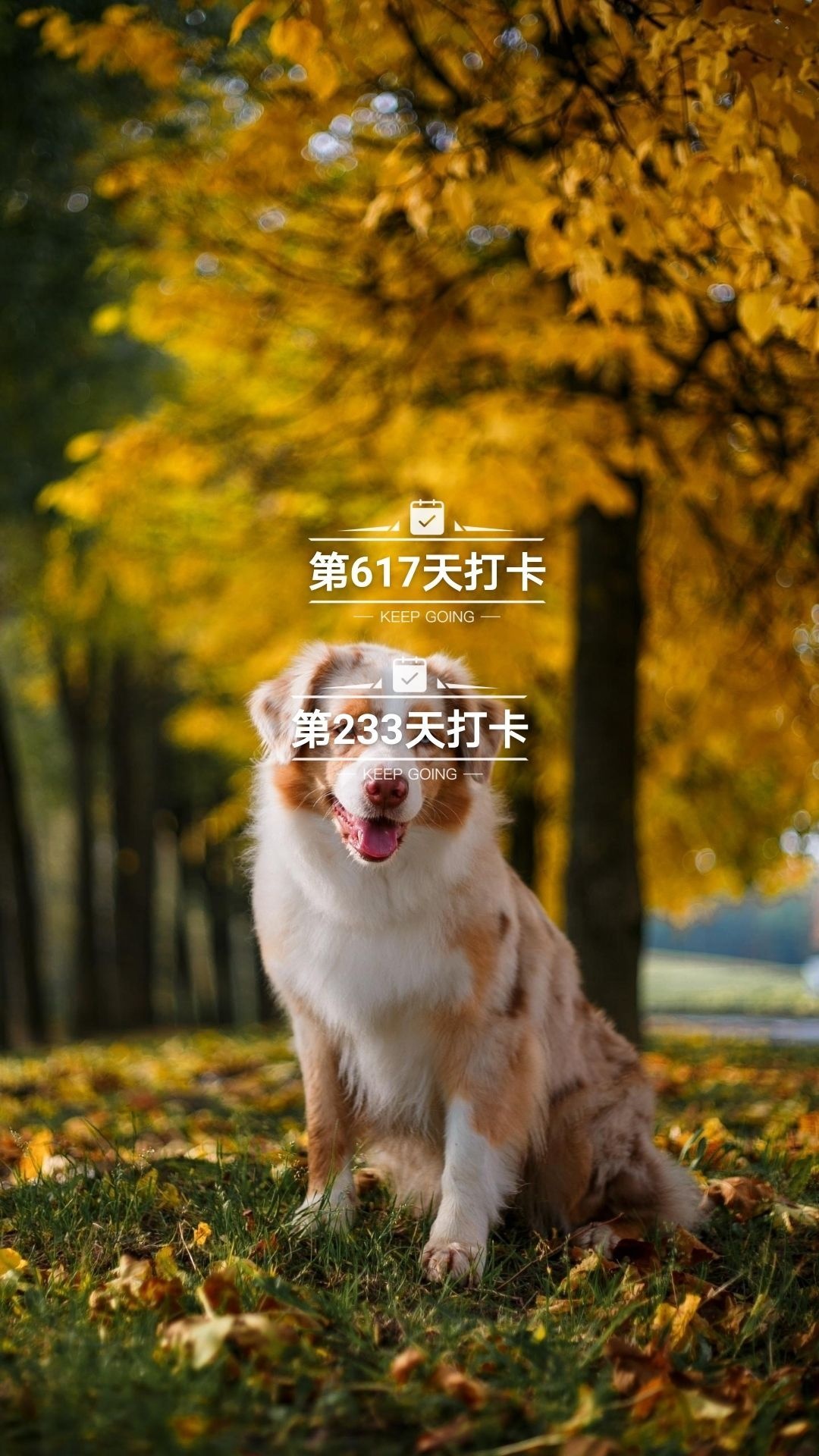 玫瑰情花店