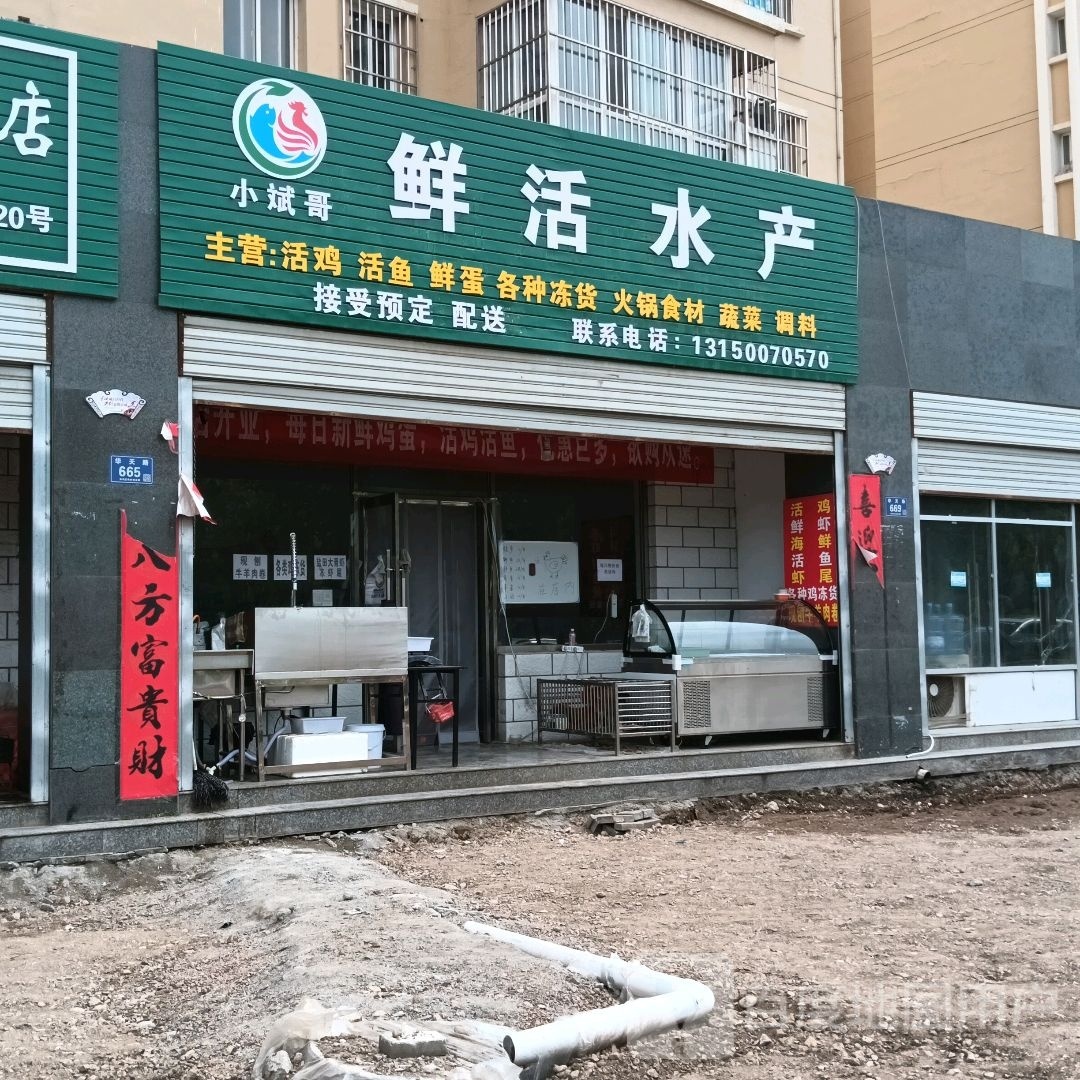 刨小竖哥斌鲜活水产