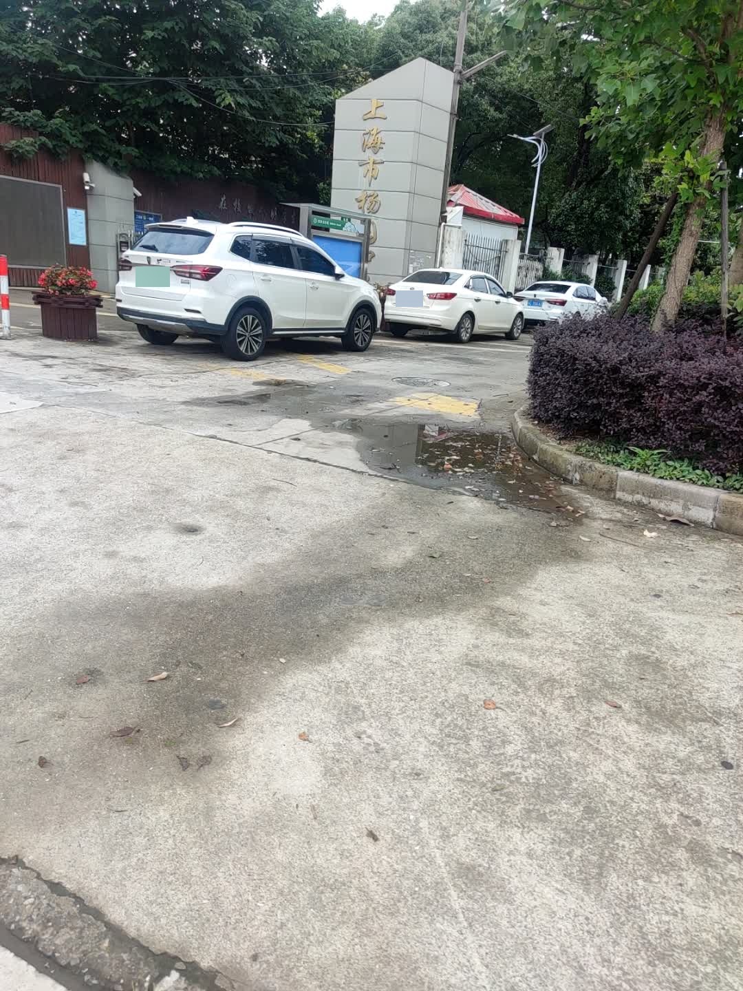 上海市杨园中学