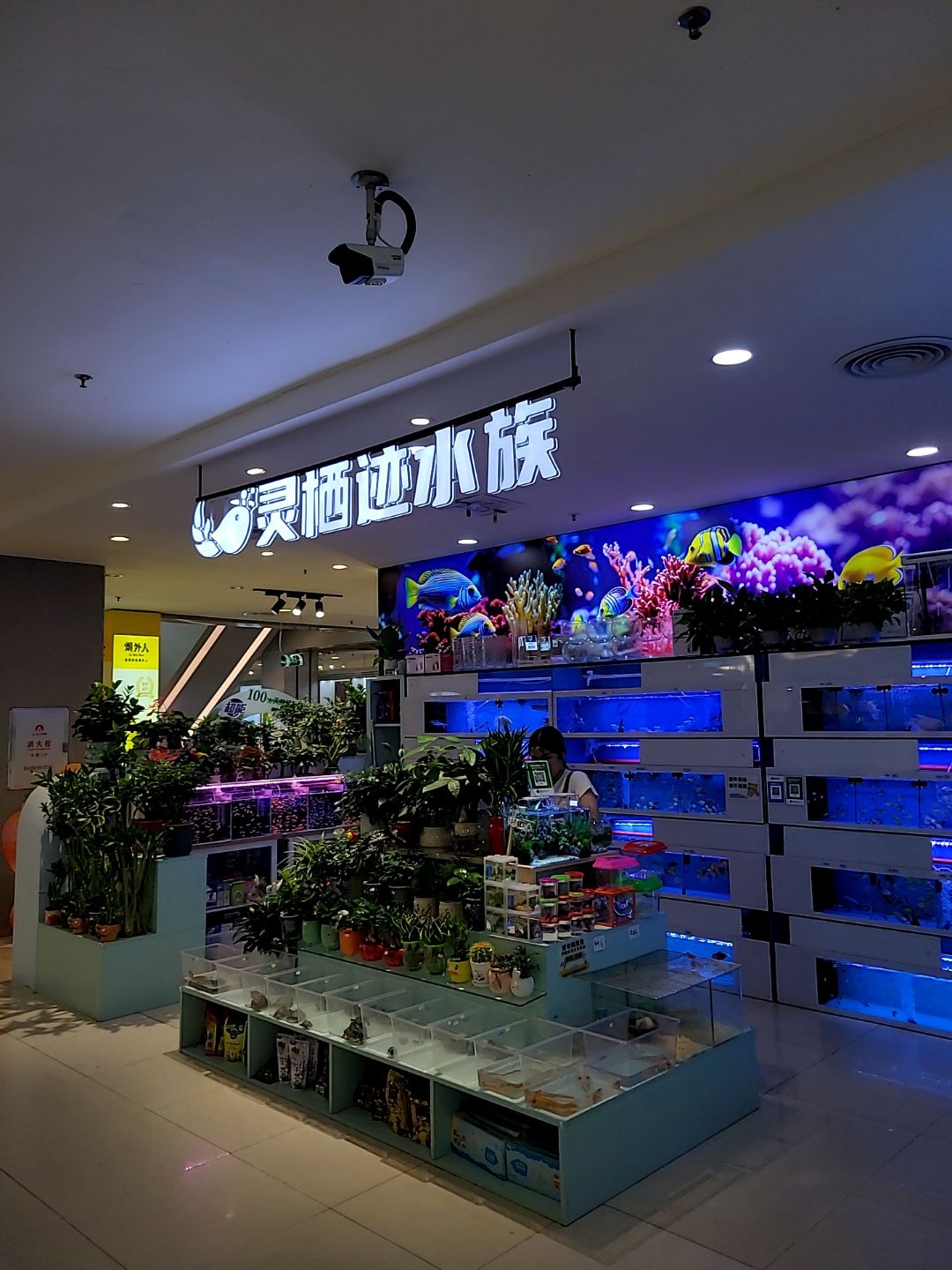灵栖迹水族(天虹商场惠阳店)