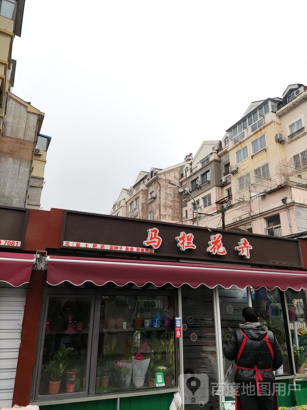 马栏花卉