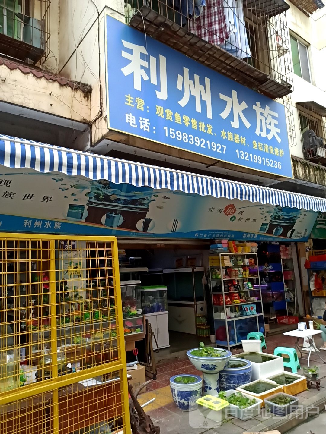 莉州水族