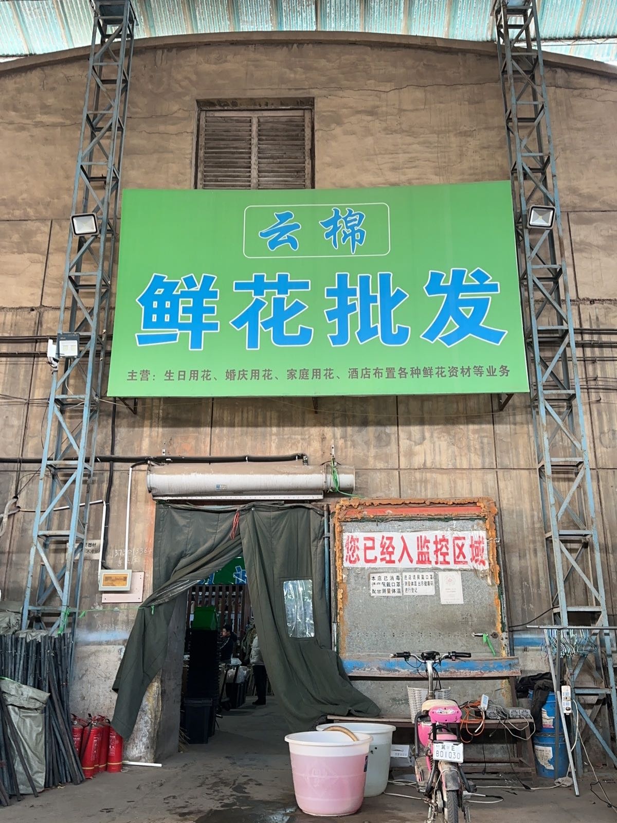 云棉鲜花批发