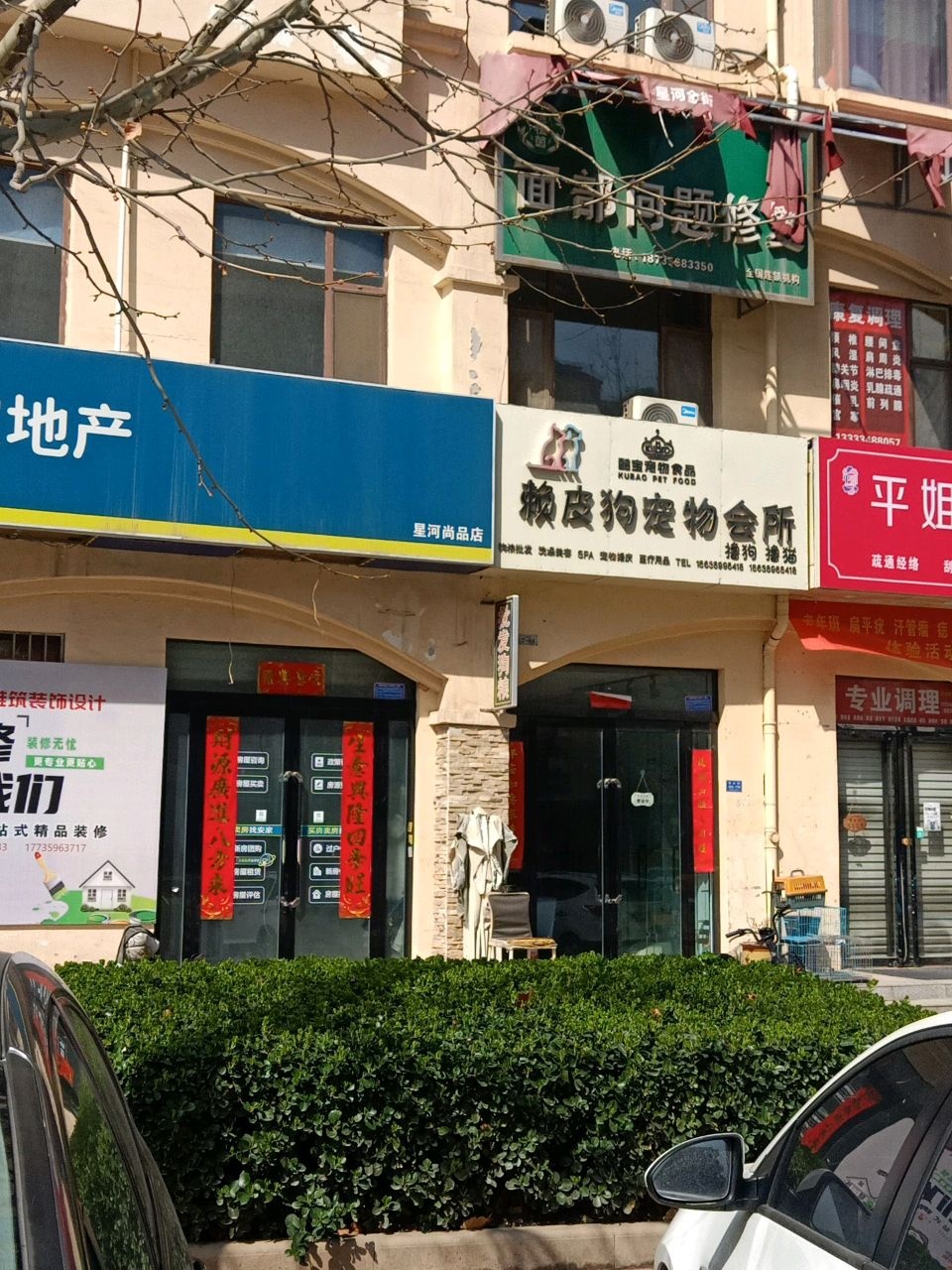 赖皮狗宠物会所(星河尚品店)