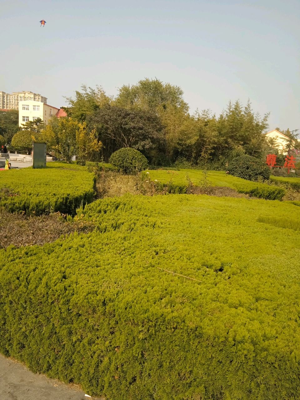 现状种植池