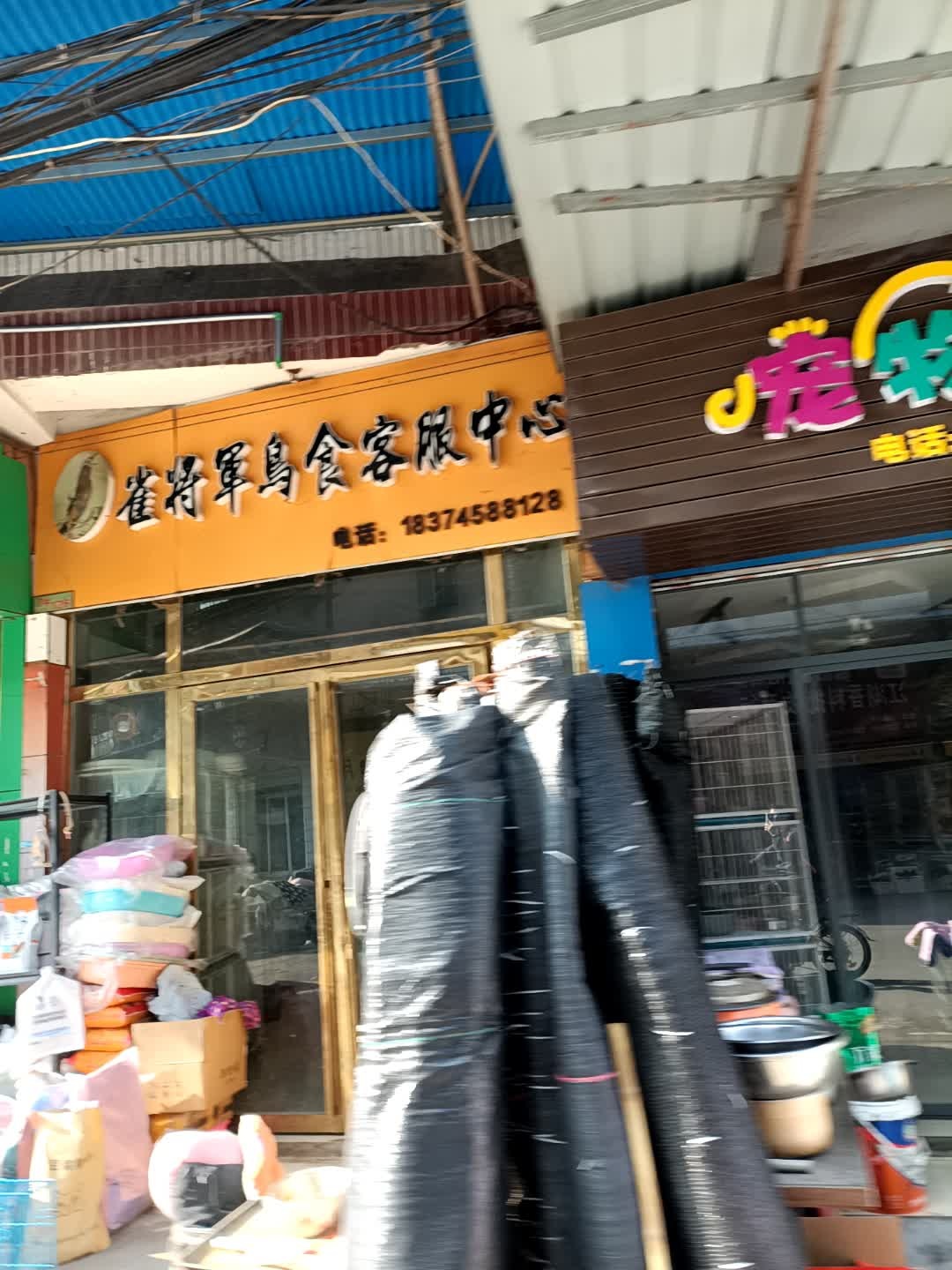 雀将军鸟食客服中心