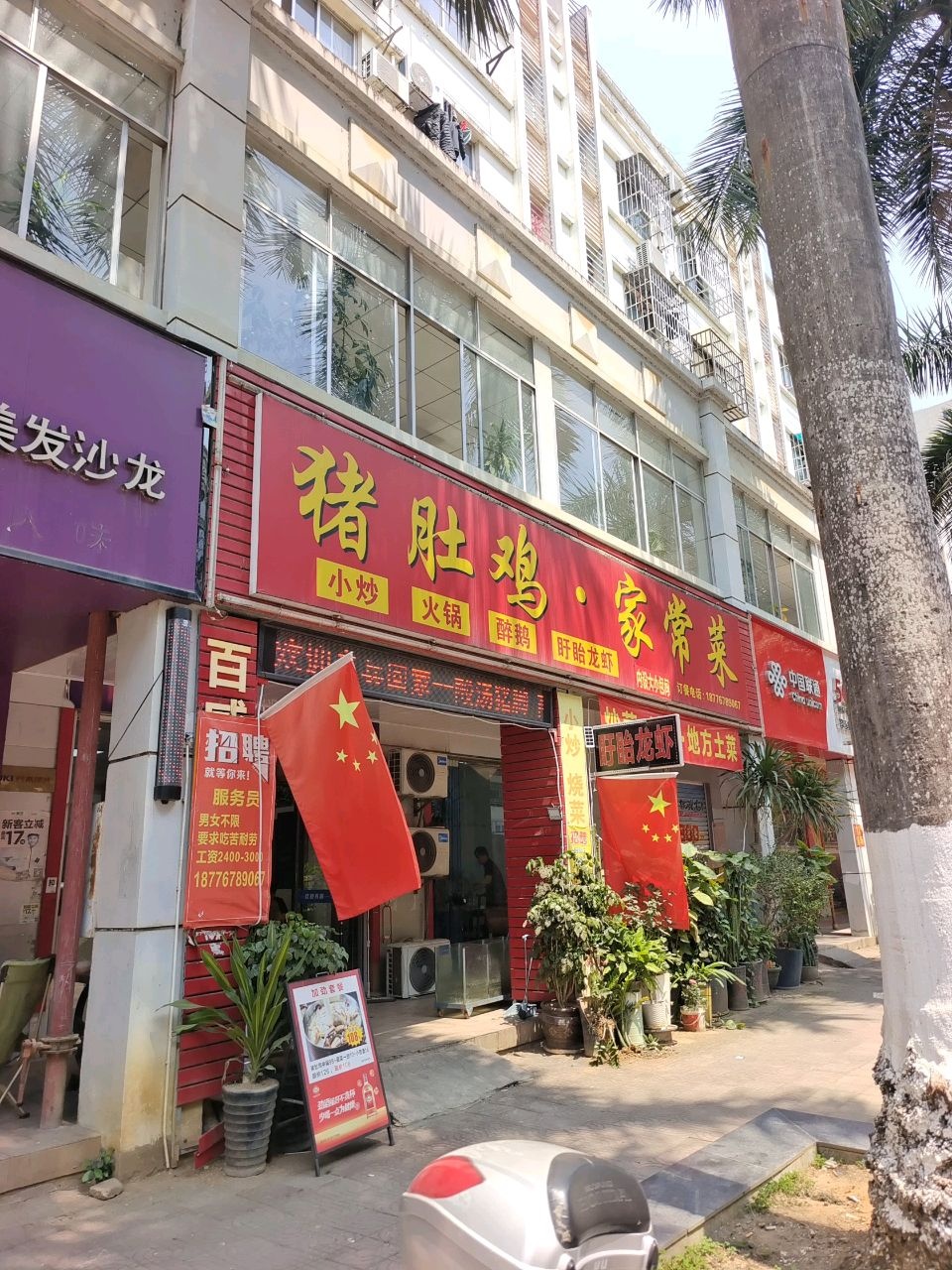 猪肚鸡·家常菜