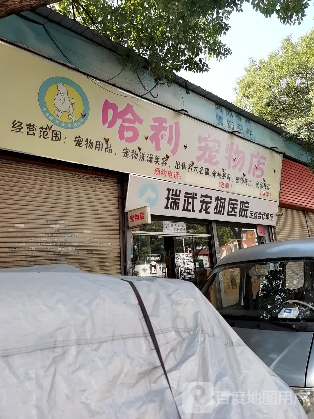 哈利宠物店