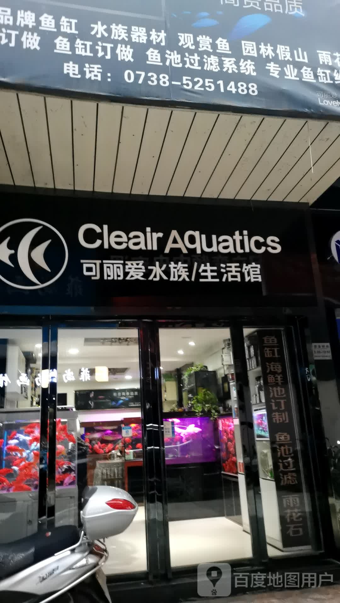 湖南省冷水江市可丽爱水族森森水族(金竹西路店)