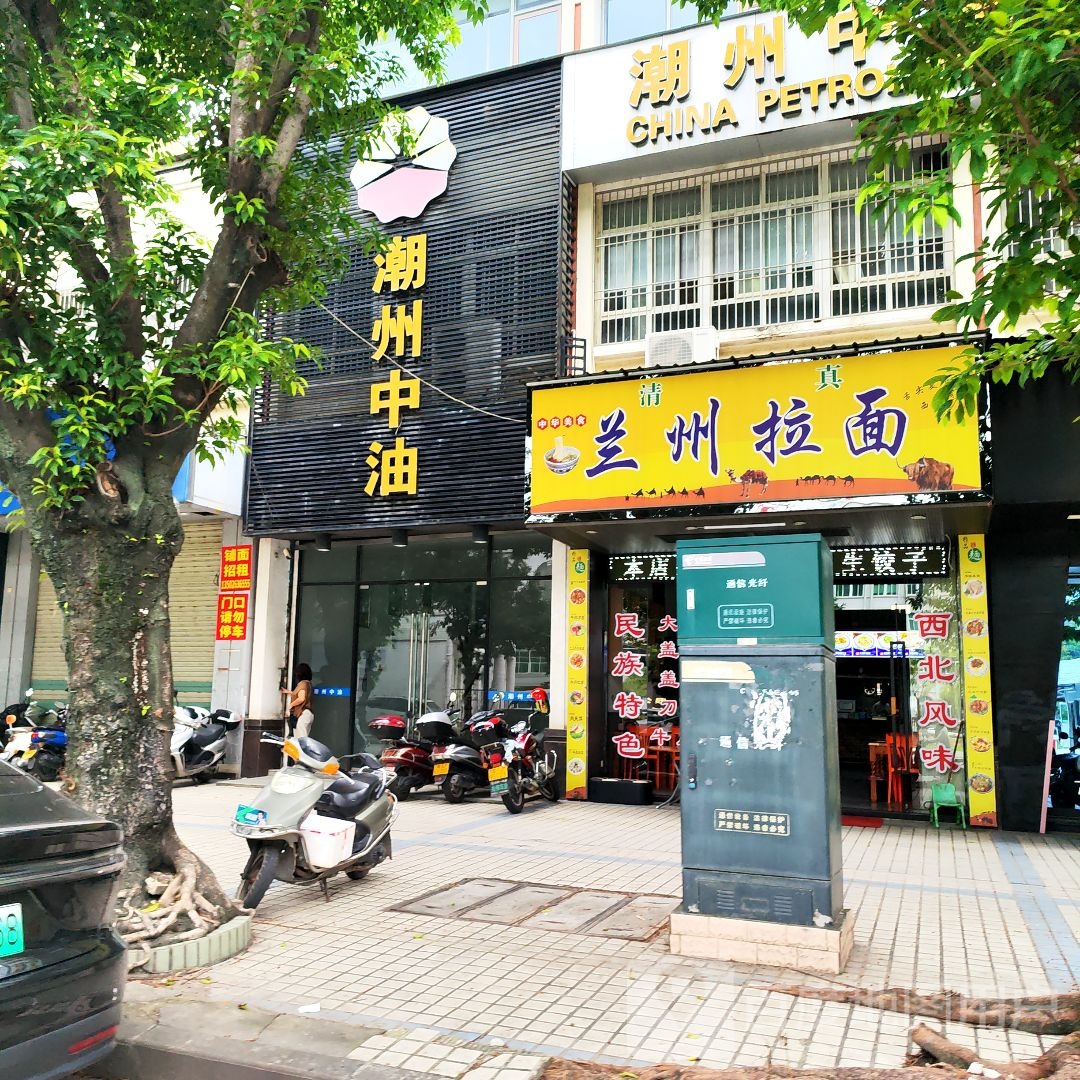清真兰州拉面(凤新东路店)