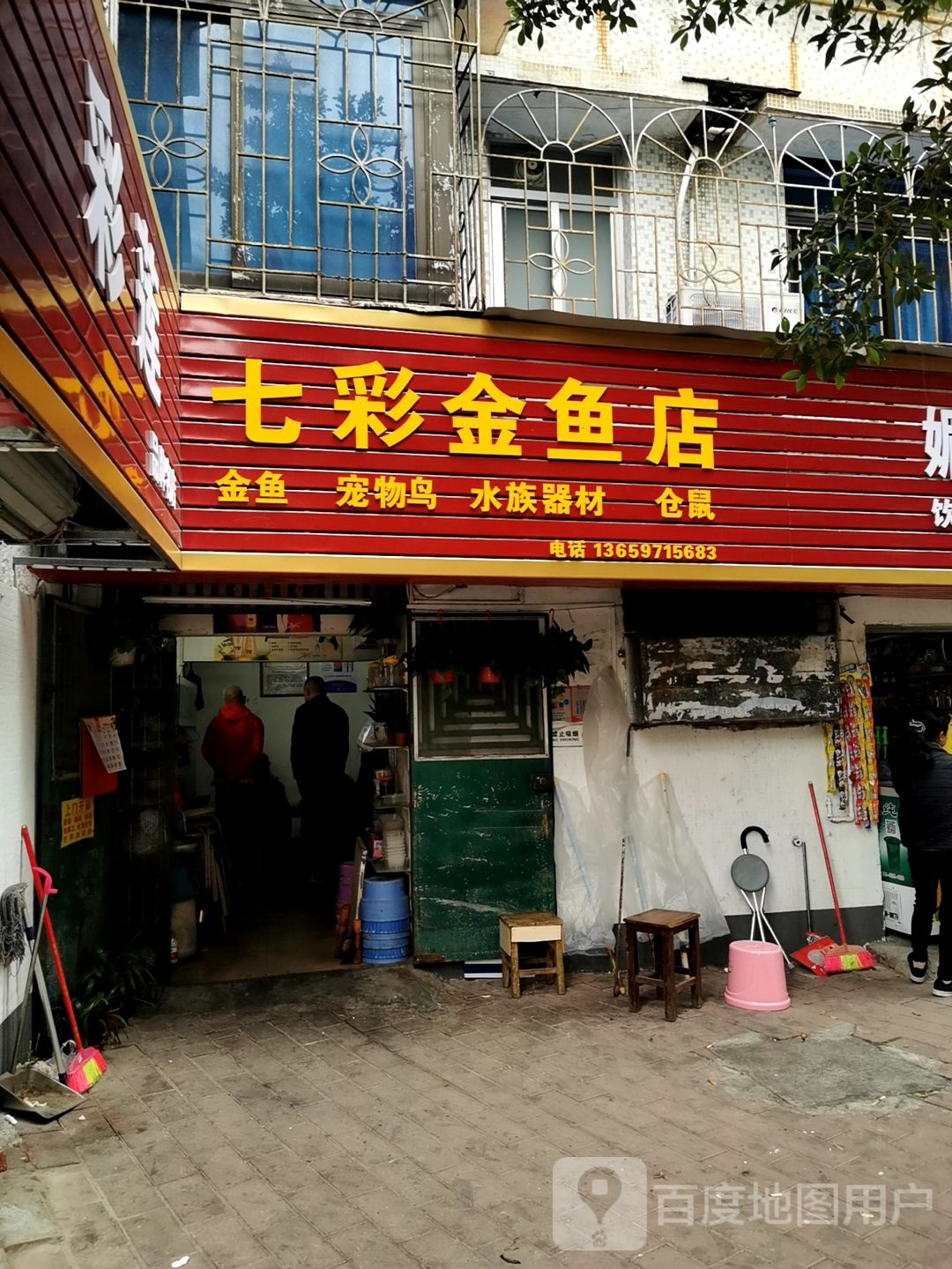 七彩金鱼店