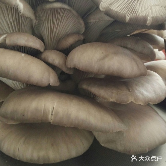 一张肩饼·炸串·卷煎饼(蓝天店)