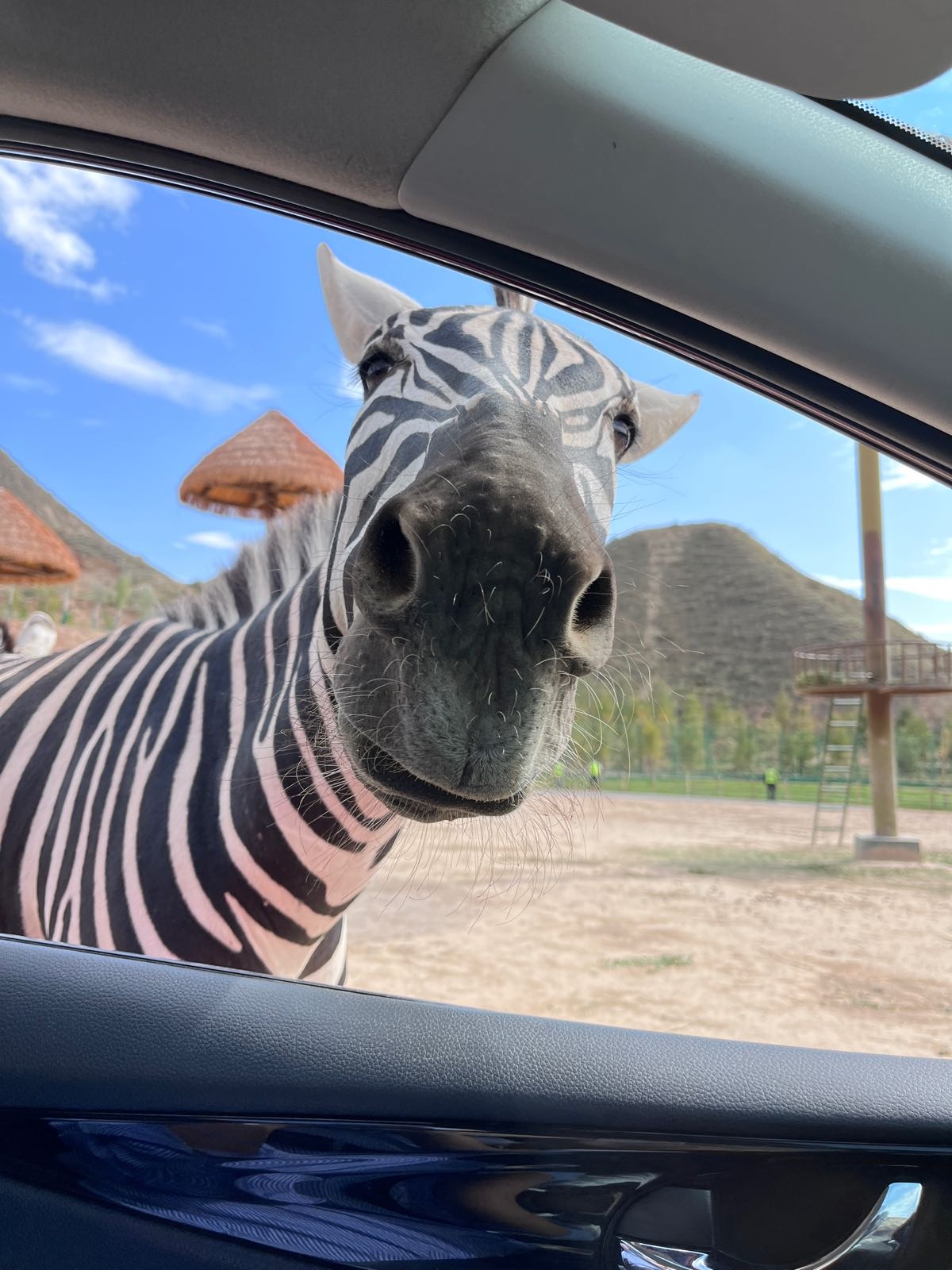 兰州野生动物园