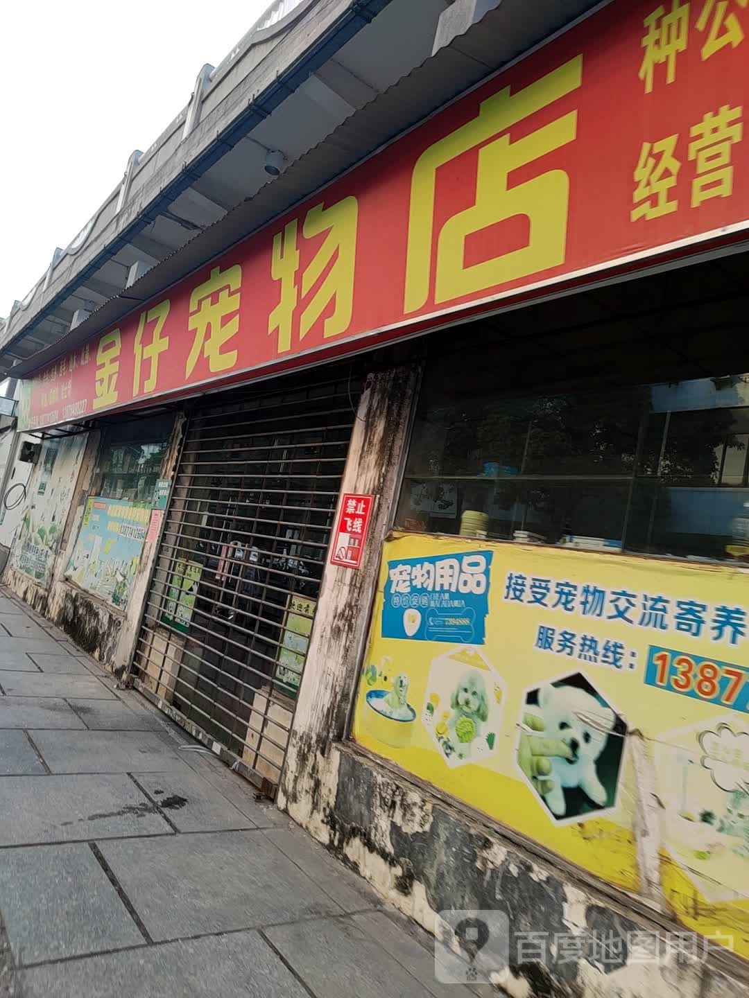金仔宠物店
