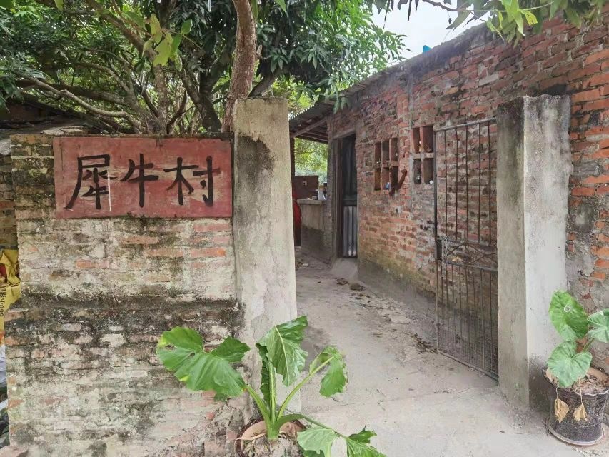 化州市犀牛村网红基地