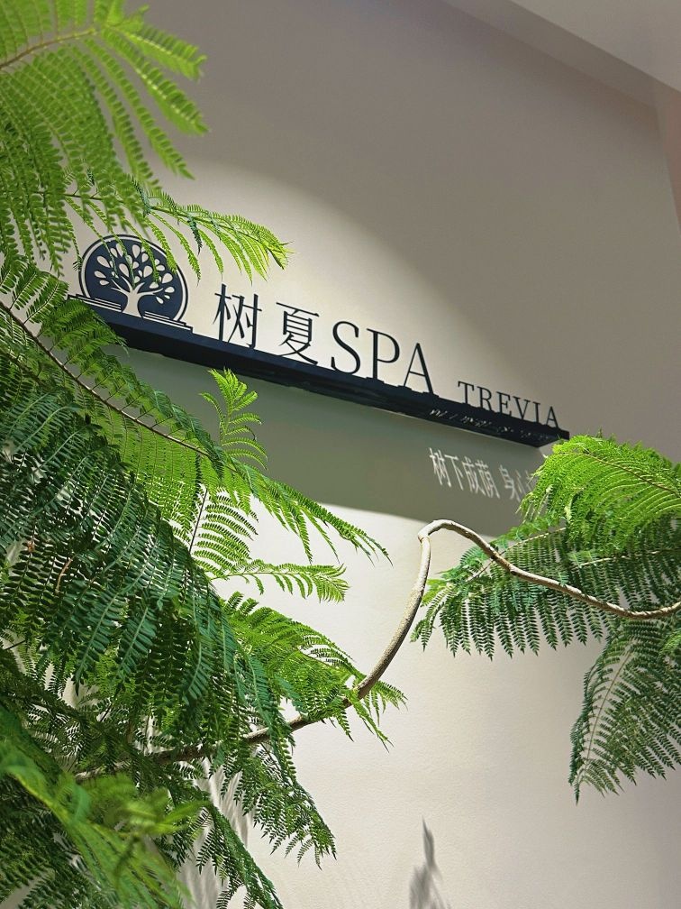 树夏·SPA