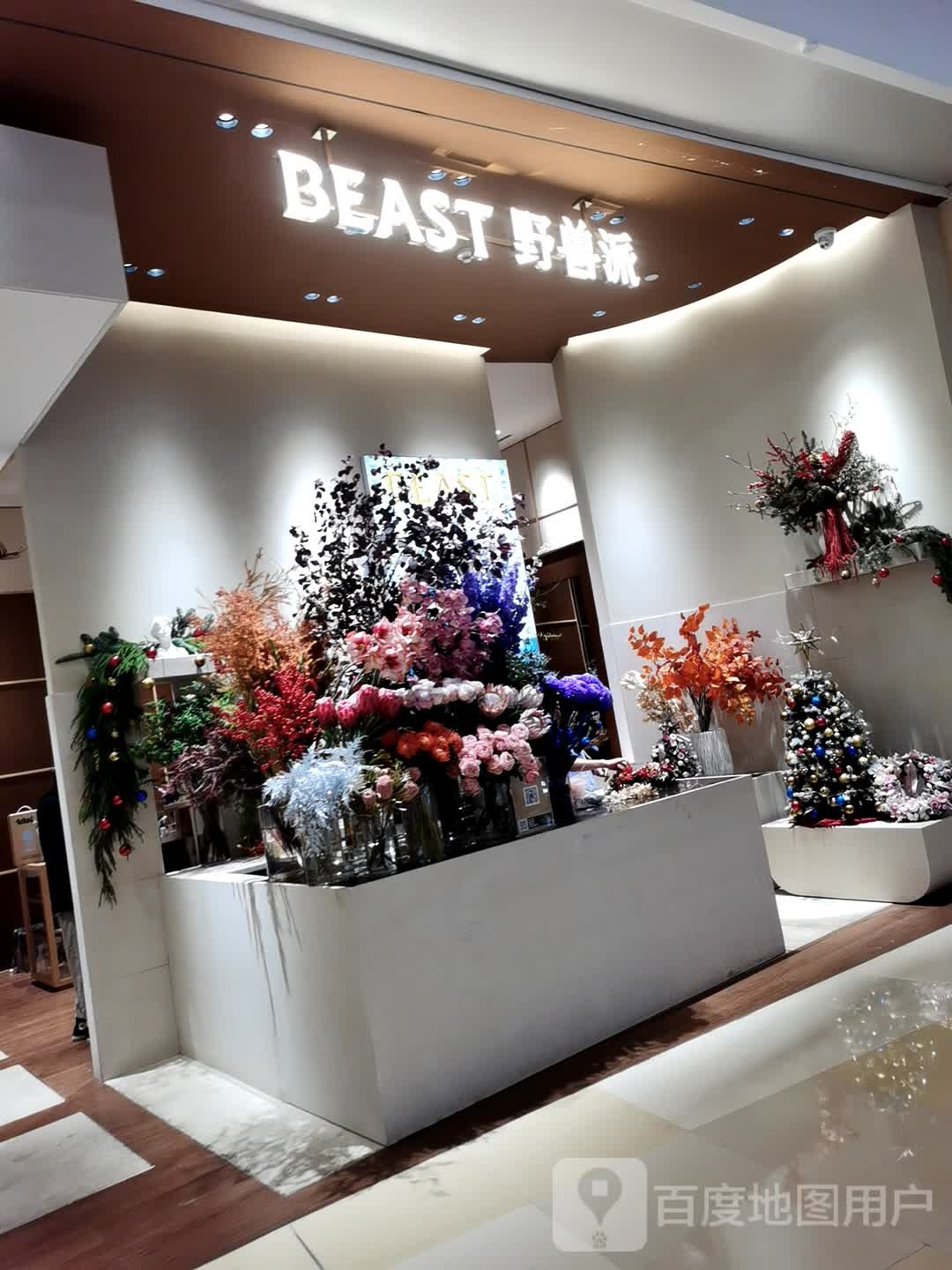 野兽派(南宁万象城店)