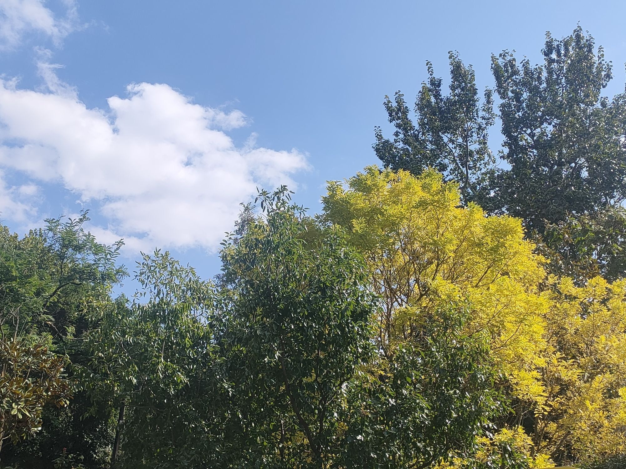 青岛贮水山儿童公园