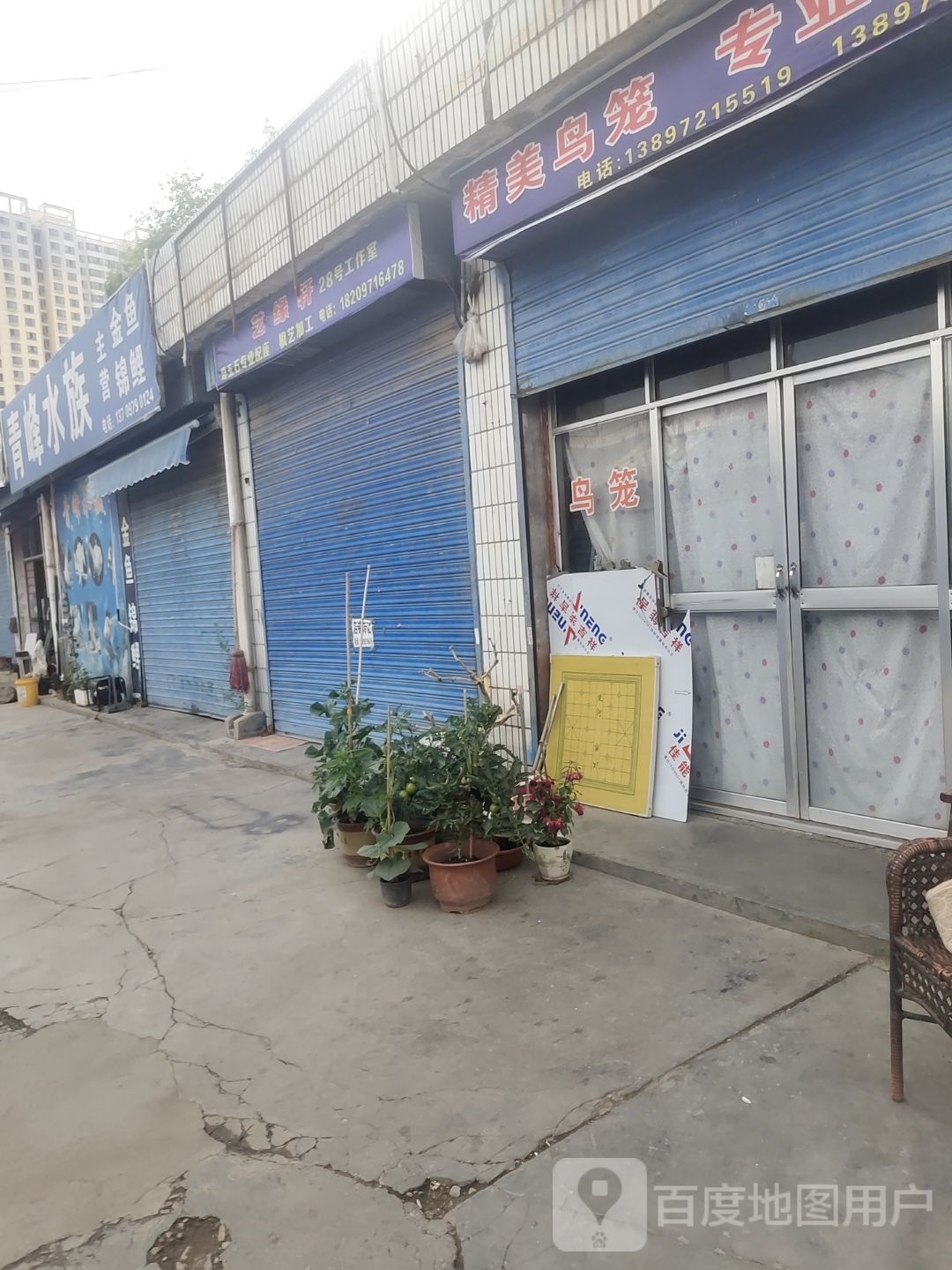 青峰水族(湟中桥新民花鱼市场店)
