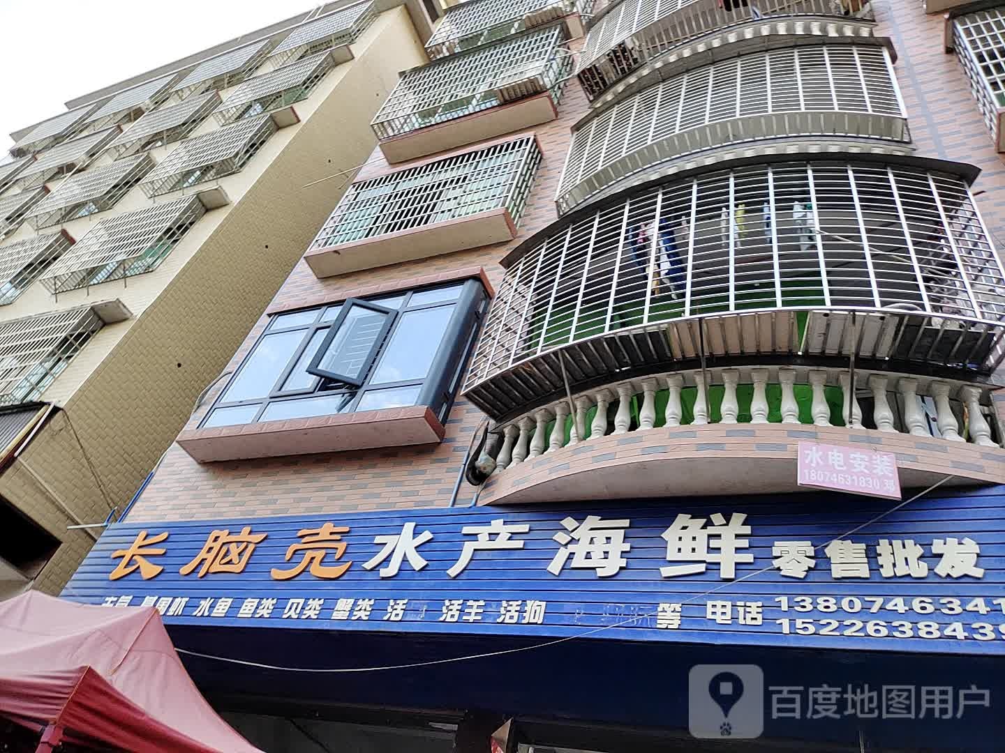 长脑壳水产海鲜零售批发